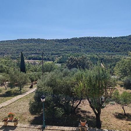 Gite Le Lion D'Or Brignoles Exterior foto